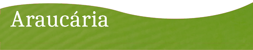 Logo do cabeçalho da página